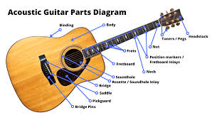 Anatomy of an acoustic guitar