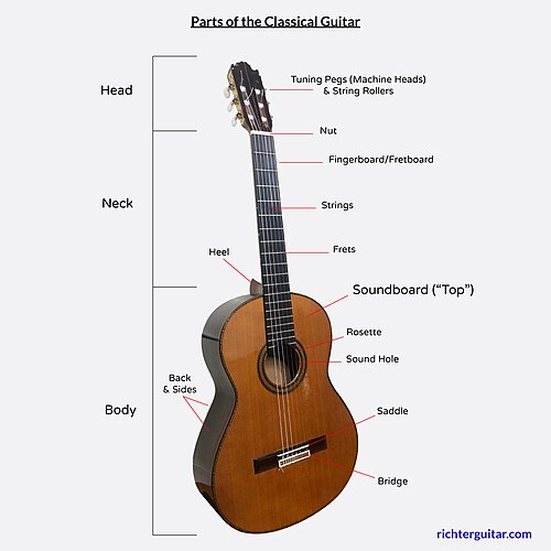 Diagram showing exterior parts of the classical guitar
